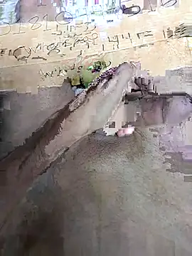 Bangladeshi big online show from April 3, 10:00 am