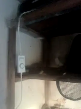 hydra0613 online show from February 22, 10:44 pm