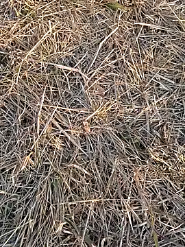 Snapshot of Kiran_hote chatting on February 13, 11:54 am Kiran hote online show from February 13, 11:54 am