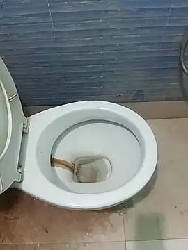 cutezara4 online show from March 17, 6:44 pm