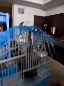 Snapshot of sexysilmy chatting on February 25, 8:36 am sexysilmy online show from February 25, 8:36 am