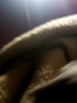 Snapshot of jodezww chatting on March 1, 8:47 am jodezww online show from March 1, 8:47 am