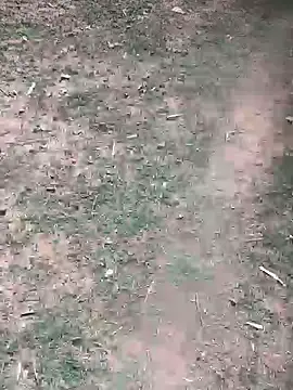 Ankitahd online show from March 26, 9:18 am