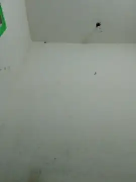 karishma Bhabhi online show from February 20, 4:20 pm