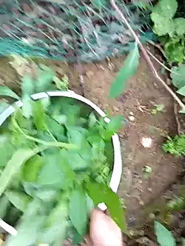 Girl-crazy1 online show from March 9, 9:35 am