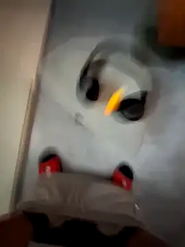 cetriolino online show from March 12, 6:17 am