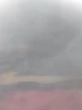 cobrosdepagos online show from March 14, 3:07 pm