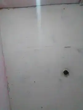 cobrosdepagos online show from February 19, 1:57 am