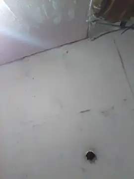 cobrosdepagos online show from April 11, 4:20 am