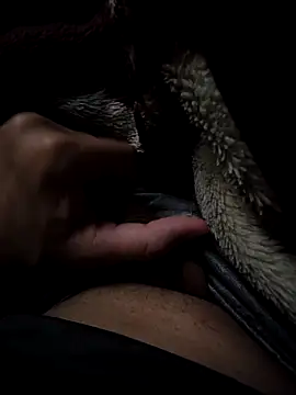 MoMnsi online show from February 25, 6:02 am