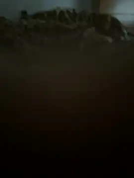 jacobbb5 online show from April 19, 11:22 am