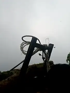 nelina 12345 online show from April 16, 11:22 am