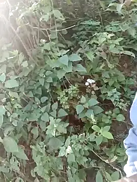 nelina 12345 online show from April 8, 2:35 am