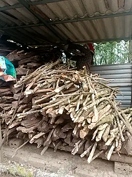 nelina 12345 online show from April 15, 12:16 am