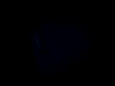 dustbunny64 online show from March 28, 8:04 am