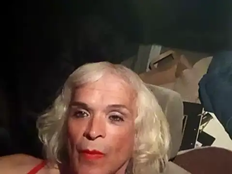 dustbunny64 online show from March 21, 10:09 am