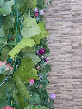 Roma xxx online show from February 14, 10:21 pm