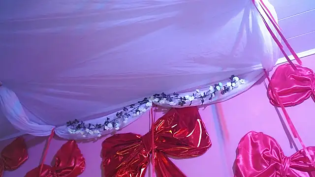 Snapshot of you_star chatting on February 26, 1:55 pm you star online show from February 26, 1:55 pm