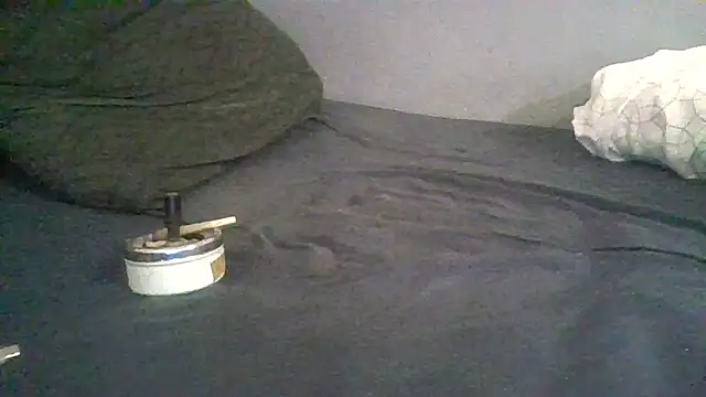 Snapshot of BonneQueueBonjour chatting on February 22, 11:45 am BonneQueueBonjour online show from February 22, 11:45 am