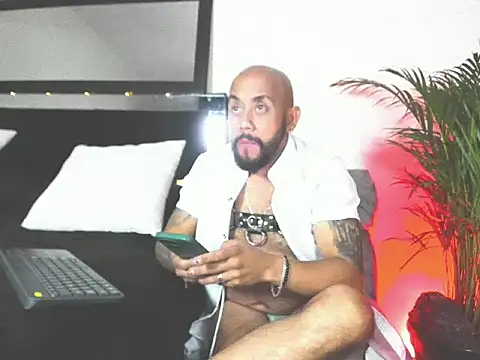 King bear 25 online show from February 26, 1:49 am