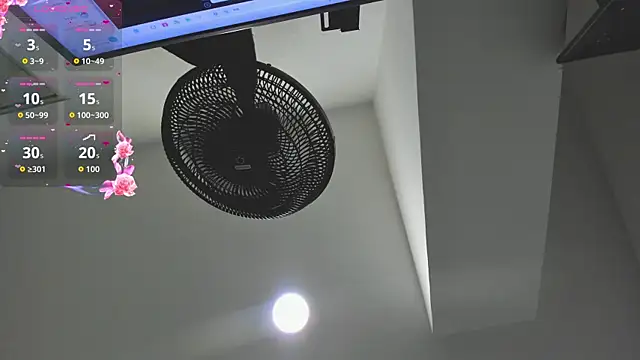 agartha velvet online show from March 30, 3:41 am