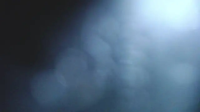 Stannly1 online show from March 11, 9:36 am