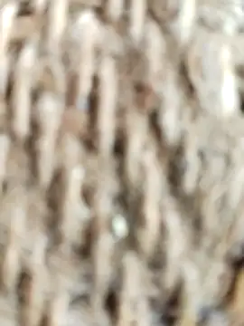 SONY BABY online show from April 2, 3:24 am