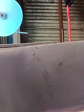 taniya0 online show from April 14, 6:07 am