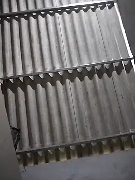 Snapshot of Baby_flower_1 chatting on February 16, 8:24 am Baby flower 1 online show from February 16, 8:24 am