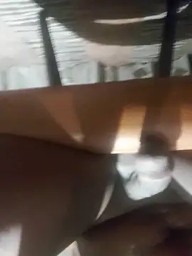 Cookiesucker2025 online show from March 15, 11:56 pm