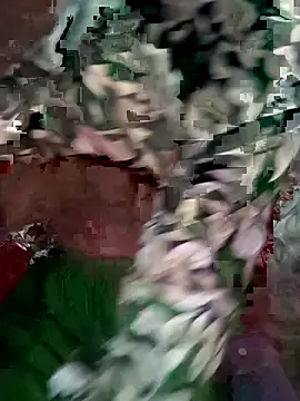 mimpake online show from April 10, 8:21 am