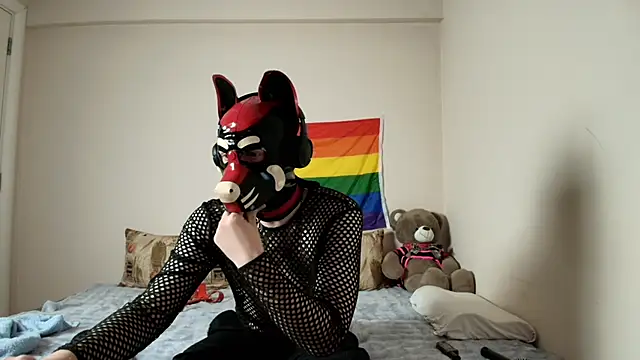 K9 GoodBoy online show from April 9, 5:52 pm