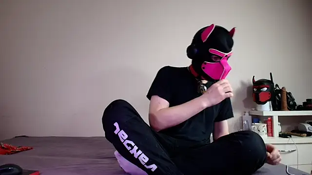 K9 GoodBoy online show from June 18, 5:29 pm
