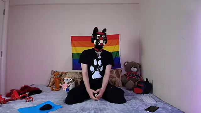 K9 GoodBoy online show from April 15, 5:17 pm