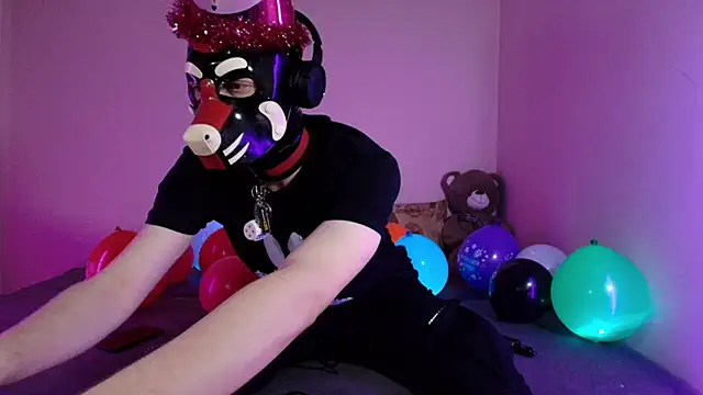 K9 GoodBoy online show from March 26, 7:34 pm