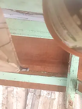 euchapo99 online show from February 19, 1:52 pm