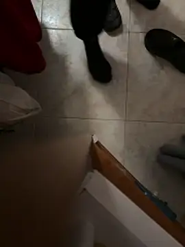 D4n13l47 online show from April 5, 6:58 pm