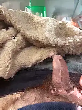 D4n13l47 online show from March 4, 10:01 am