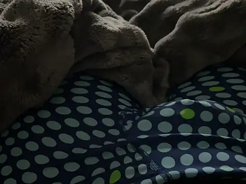 kakarot241515 online show from March 6, 2:17 am