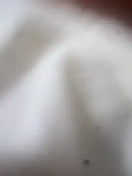 Jaybraconect online show from February 21, 5:09 am