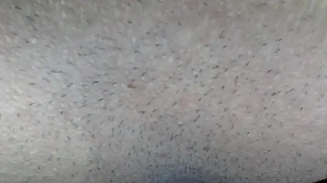 machodotado97 online show from March 15, 5:14 am