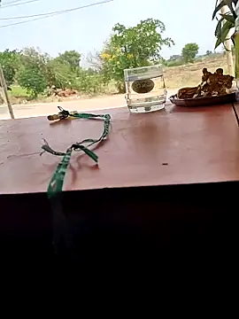 Chandu1245 online show from April 11, 8:07 am