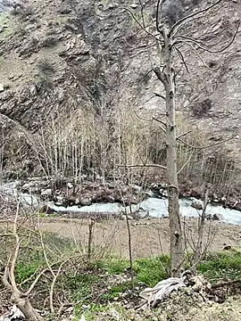 TurkeyMen online show from April 8, 9:11 am