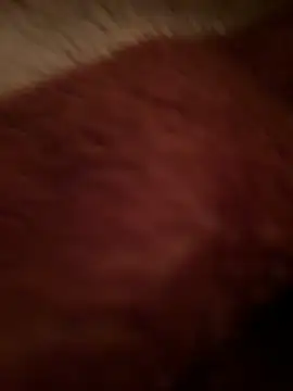 Crevette311 online show from December 22, 9:15 pm