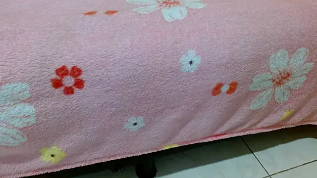  online show from March 28, 6:36 am