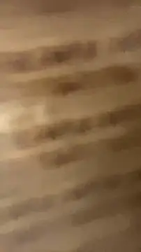 walterktm online show from April 8, 2:35 am