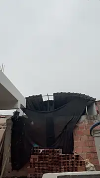 walterktm online show from March 24, 4:29 pm