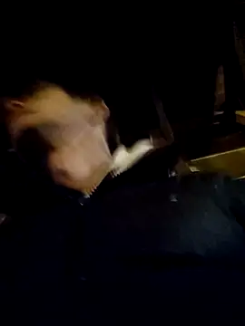 Snapshot of DlaNiej chatting on February 26, 6:30 pm DlaNiej online show from February 26, 6:30 pm