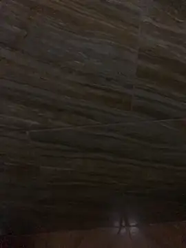 King cotize online show from February 26, 6:02 am