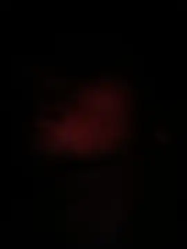peanutbutteater online show from June 9, 2:29 pm